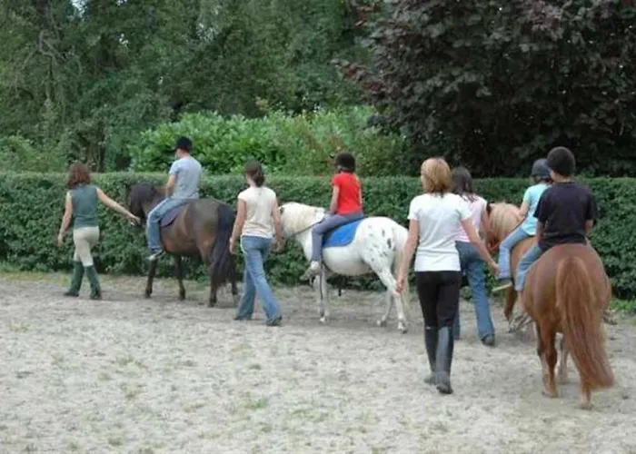 Zecamping 3 Avec Chiens Acceptes Piscine Couverte Et Piscine Chauffee Σαλέ