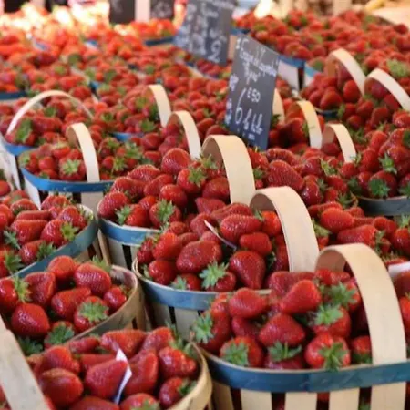 - Piscine - Ccaibib * Saint-Jean-de-Monts