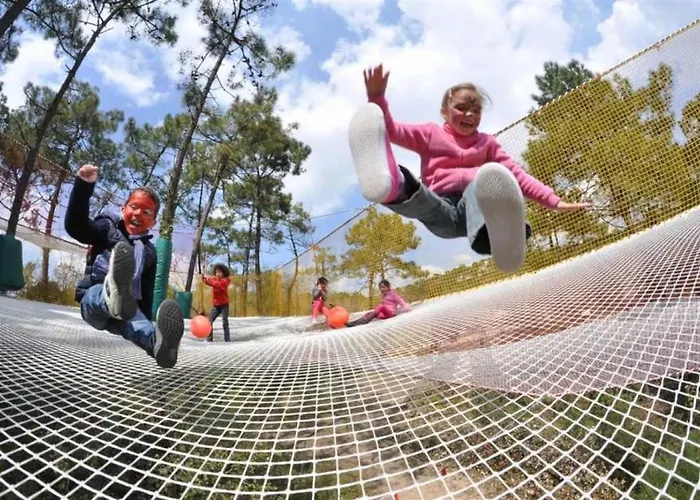 シャレー Zecamping 3 Avec Chiens Acceptes Piscine Couverte Et Piscine Chauffee サン・ジャン·ド・モン