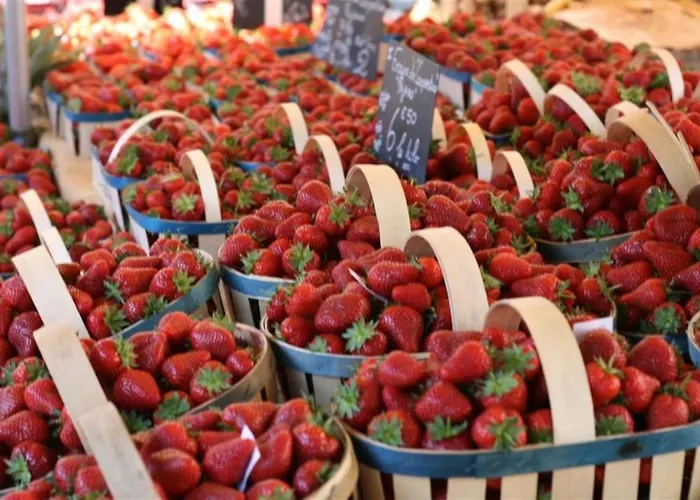 Campsite Zecamping 3 Avec Chiens Acceptes Piscine Couverte Et Piscine Chauffee