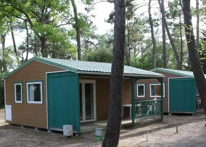 Zecamping 3 Avec Chiens Acceptes Piscine Couverte Et Piscine Chauffee